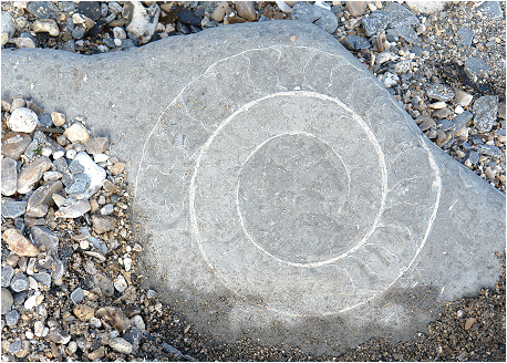 EyeFossil458x328Lite